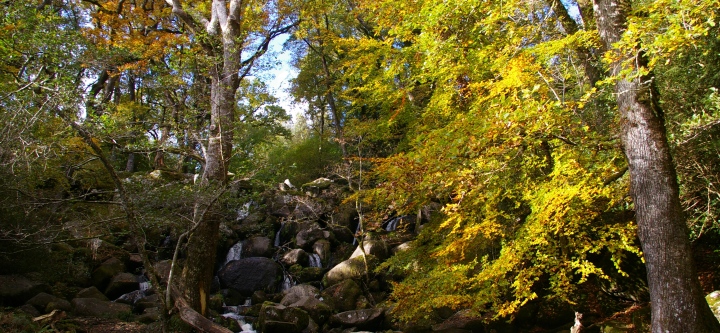 Becky Falls, Dartmoor on a warm and sunny late October day.