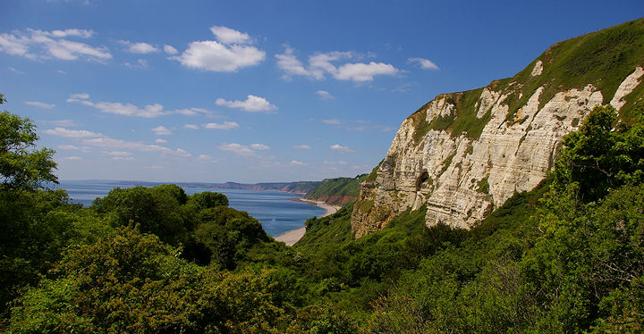 The lovely undercliff above Branscombe beach on a gloriously warm and sunny July day.