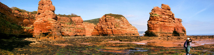 Triassic Otter Sandstone sea stacks at the western end of Jacob's Ladder Beach, Sidmouth.